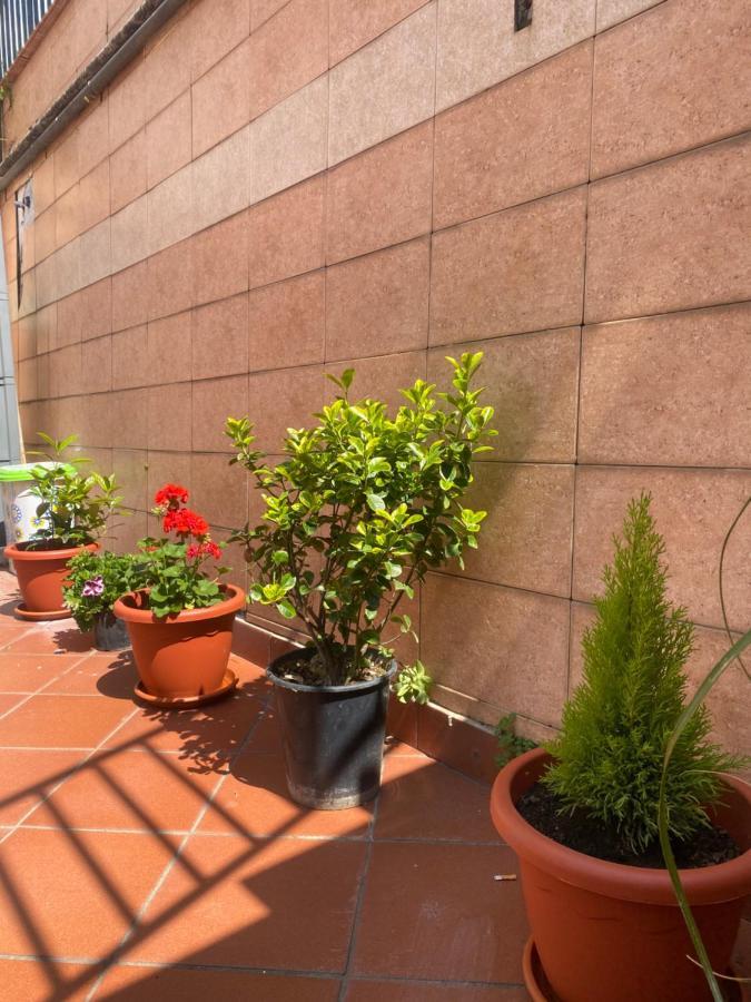 הוילה מאיורי Casa Major מראה חיצוני תמונה